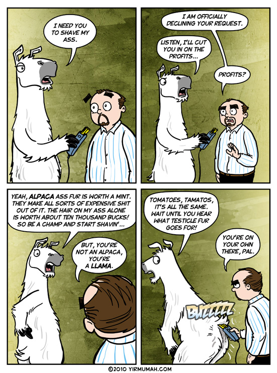 Faux Alpaca